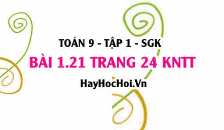 Bài 1.21 trang 24 Toán 9 tập 1 Kết nối tri thức SGK